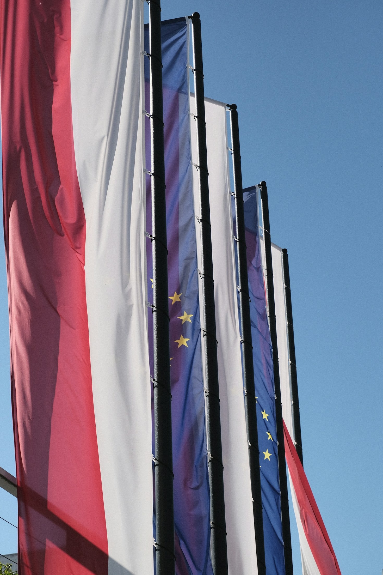 The Interplay Between Global Trade and Climate Action